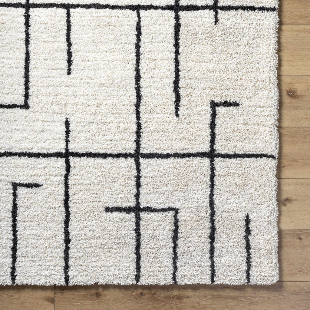 Xenos Area Rug - Clearance