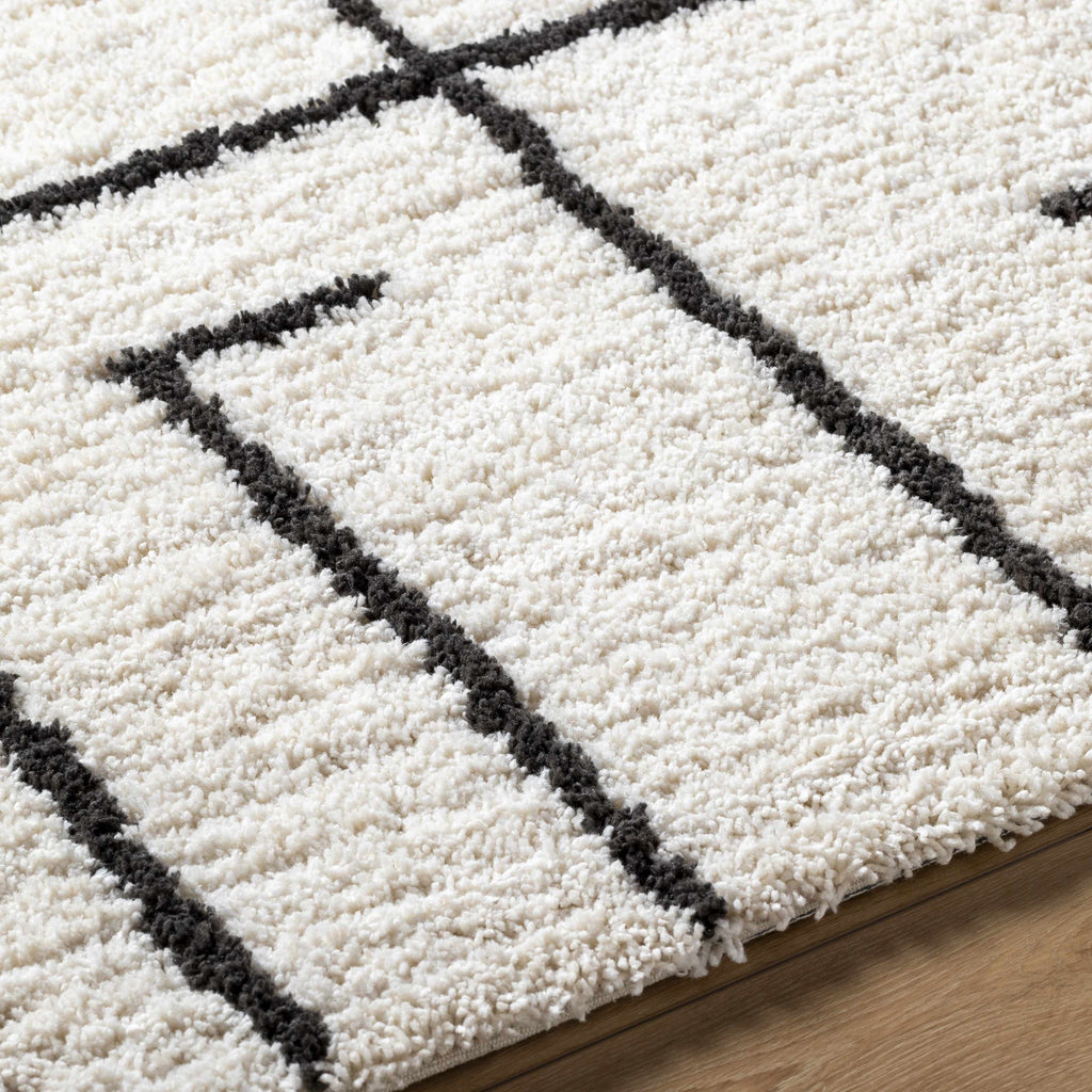 Xenos Area Rug - Clearance