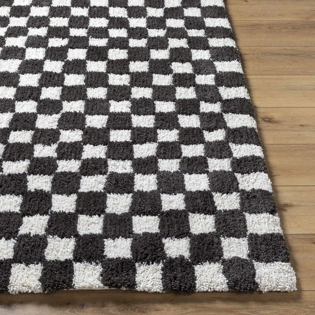 Zveha Area Rug - Clearance
