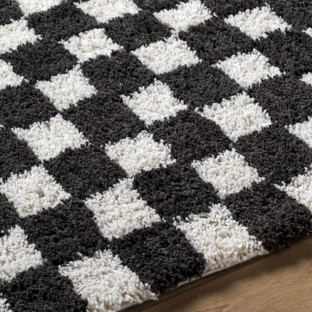 Zveha Area Rug - Clearance